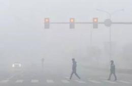 大雾天气误闯了交通信号灯怎么办？